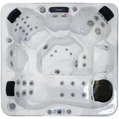 Avalon EC-849L hot tubs for sale in Raleigh