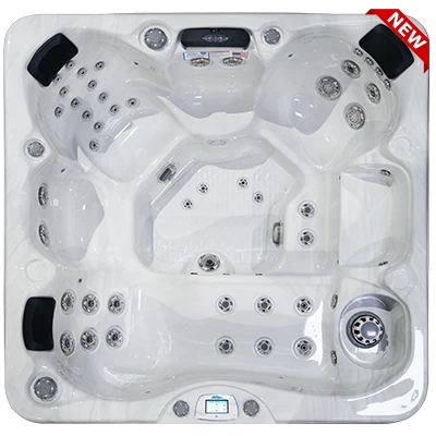 Avalon-X EC-849LX hot tubs for sale in Raleigh