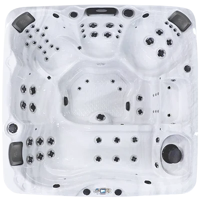 Avalon EC-867L hot tubs for sale in Raleigh